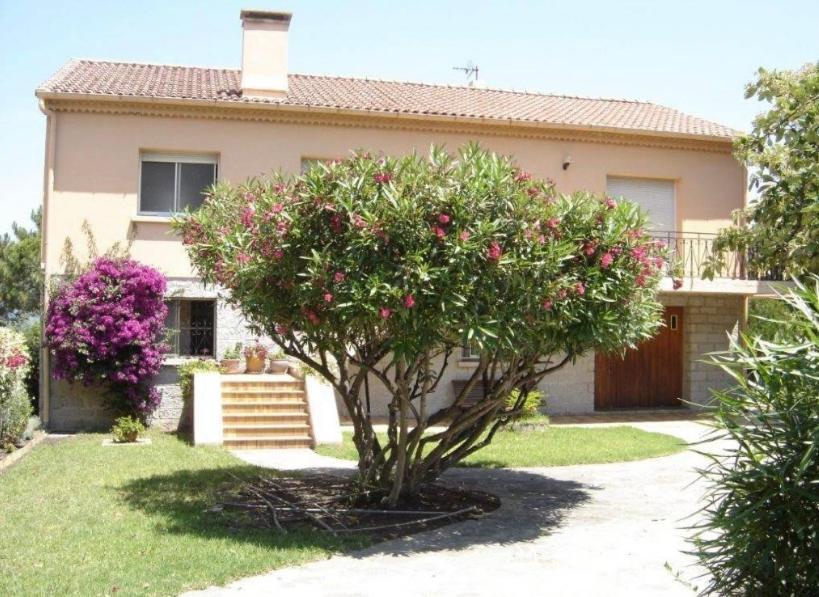 Casa Rossa Solenzara Apartment ซารี โซเลนซารา ภายนอก รูปภาพ